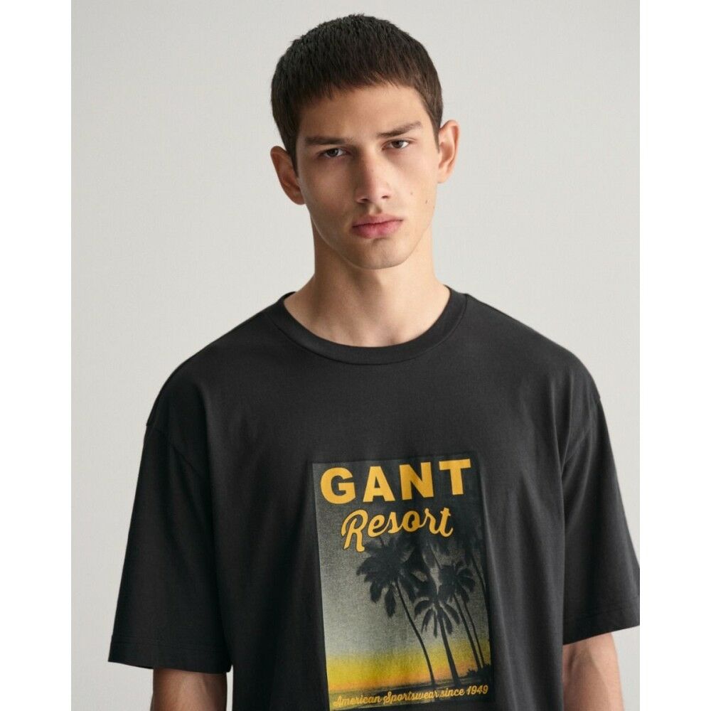 GANT WASHED GRAPHIC SS T-SHIRT